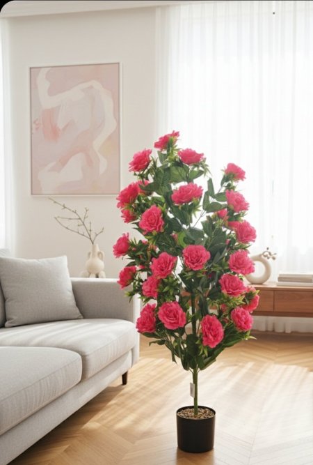 شجرة ورد جوري حجم كبير