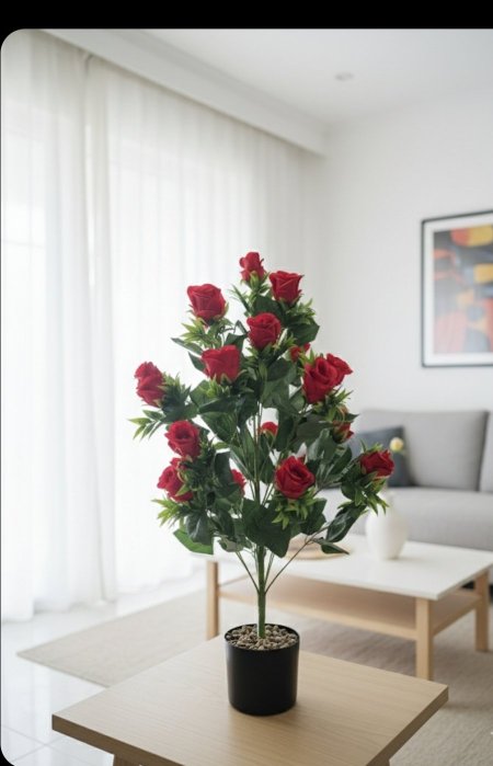 شجرة ورد جوري