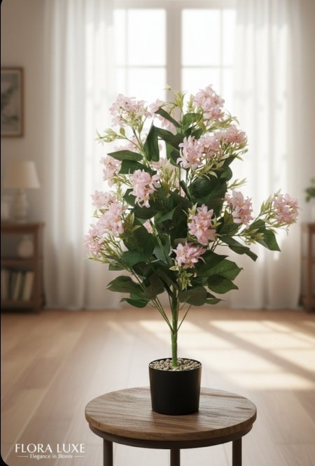 شجرة ورد ياسمين